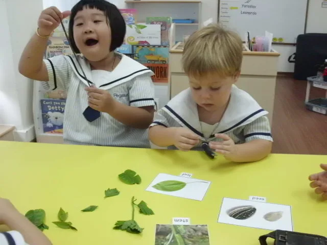 いっしょに葉や自然のものを調べる二人の子ども。