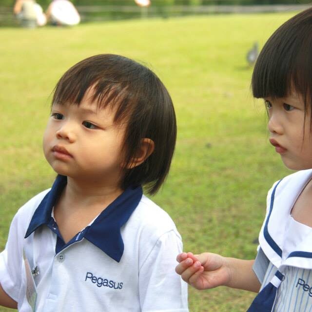 Delightful Garden Picnic Day