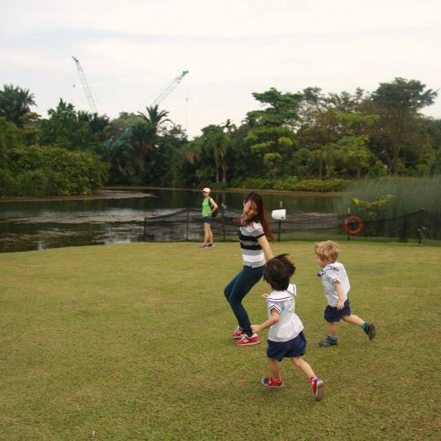 Delightful Garden Picnic Day