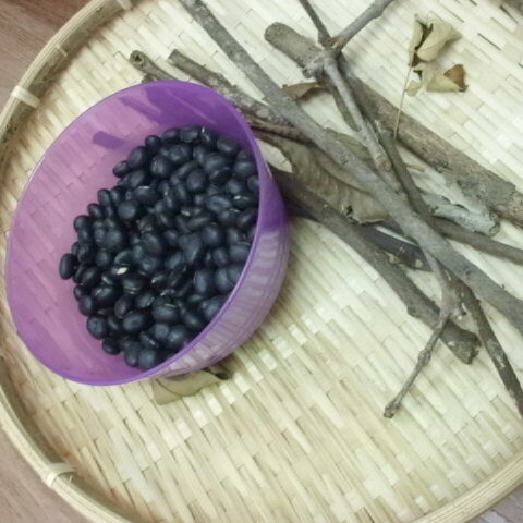 Outdoors Science Exploration