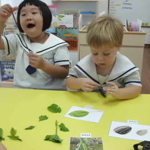 Outdoors Science Exploration