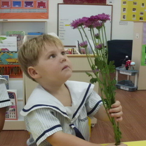 Outdoors Science Exploration