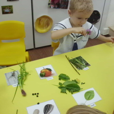 Outdoors Science Exploration