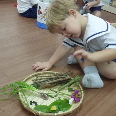 Outdoors Science Exploration