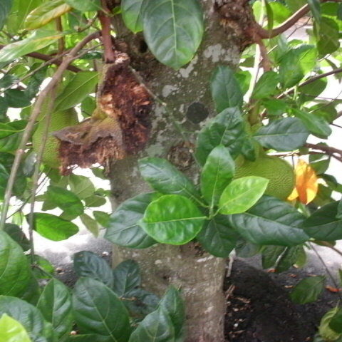 Outdoors Science Exploration