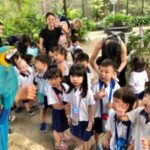 Butterfly Park & Insert Kingdom @ Sentosa 2019