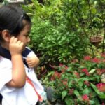 Butterfly Park & Insert Kingdom @ Sentosa 2019