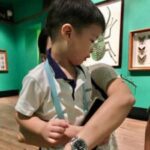 Butterfly Park & Insert Kingdom @ Sentosa 2019
