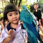 Butterfly Park & Insert Kingdom @ Sentosa 2019