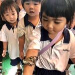 Butterfly Park & Insert Kingdom @ Sentosa 2019
