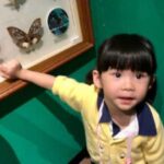 Butterfly Park & Insert Kingdom @ Sentosa 2019