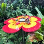 Butterfly Park & Insert Kingdom @ Sentosa 2019