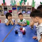 Butterfly Park & Insert Kingdom @ Sentosa 2019