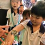 Butterfly Park & Insert Kingdom @ Sentosa 2019