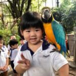 Butterfly Park & Insert Kingdom @ Sentosa 2019