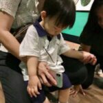 Butterfly Park & Insert Kingdom @ Sentosa 2019