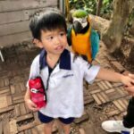 Butterfly Park & Insert Kingdom @ Sentosa 2019