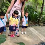Butterfly Park & Insert Kingdom @ Sentosa 2019