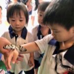 Butterfly Park & Insert Kingdom @ Sentosa 2019