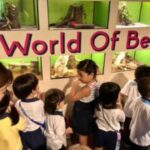 Butterfly Park & Insert Kingdom @ Sentosa 2019