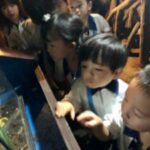 Butterfly Park & Insert Kingdom @ Sentosa 2019