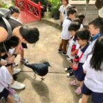 Butterfly Park & Insert Kingdom @ Sentosa 2019