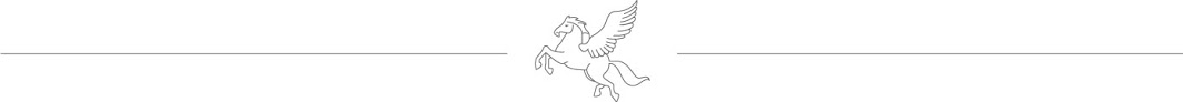 Pegasus International Preschool