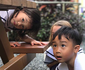 幼稚園の一日