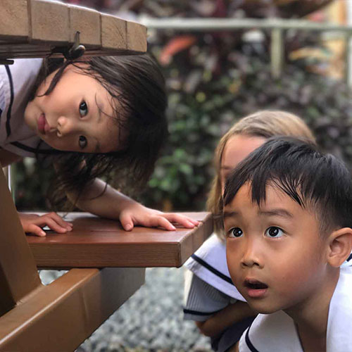 Pegasus International Preschool Enrolment