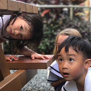 How Pegasus Brings the NEL Framework to Life