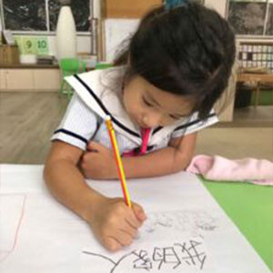 How Pegasus Brings the NEL Framework to Life